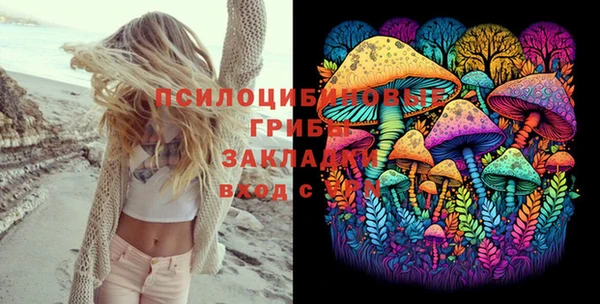 прущая мука Медвежьегорск