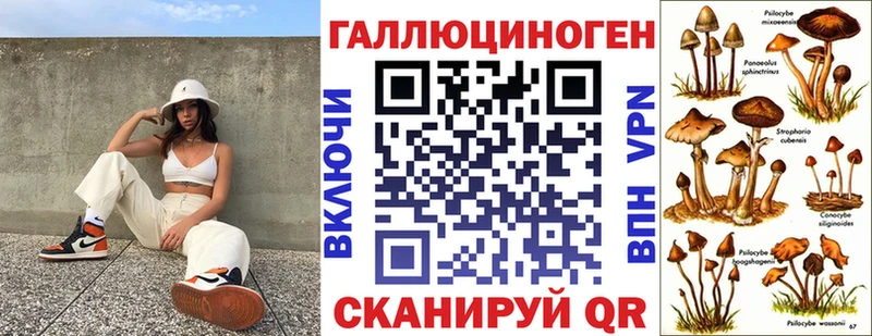 Псилоцибиновые грибы GOLDEN TEACHER  как найти закладки  Кумертау 