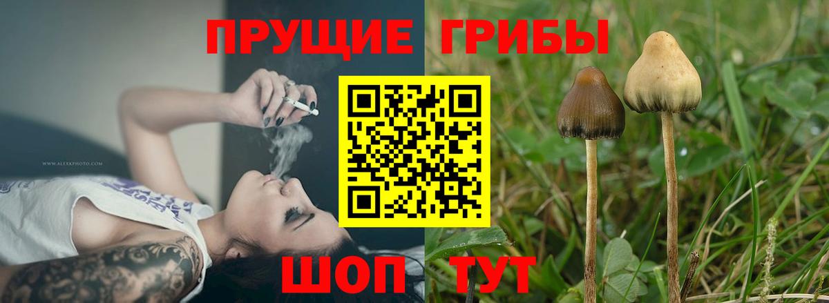 NBOMe Кумертау